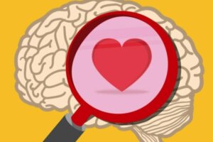 Praktisk følelsesmæssig intelligens: Oxytocin versus kortisol