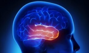 Walter B: Den mest fascinerende sag af neurologen Oliver Sacks