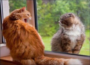 Skal man holde sine fjender tæt?