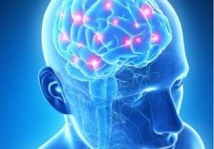 Hukommelseschips til din hjerne: Science Fiction?