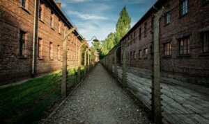 En fantastisk kærlighedshistorie midt i Auschwitz' rædsler