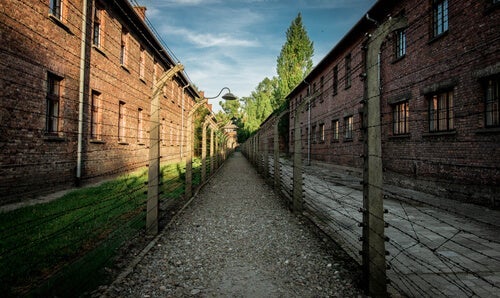 En fantastisk kærlighedshistorie midt i Auschwitz’ rædsler