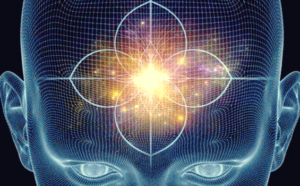 Hypofysen og koglekirtlen: Funktioner og karakteristika