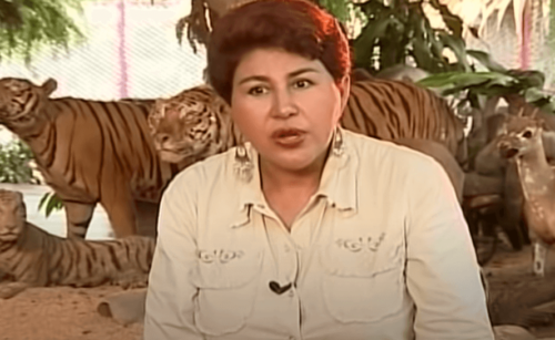 Ana Julia Torres