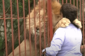 Ana Julia Torres: Dyrenes frelser