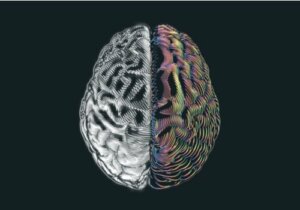 De overraskende resultater hos mennesker, der kun har en halv hjerne