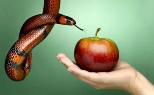 Slange og æble symboliserer det forbudte