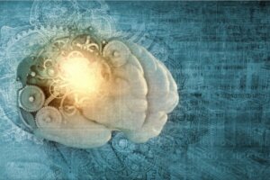 Semantisk hukommelse: Definition, karakteristika og tilknyttede lidelser