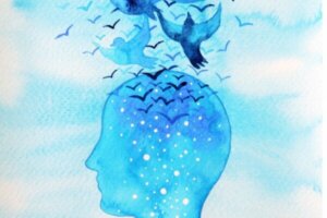 De seks typer af bevidsthed