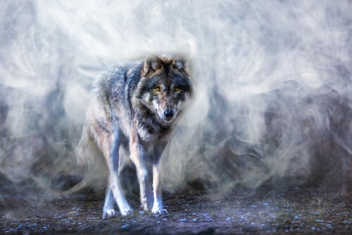 Legenden om Astur-ulven og balancen