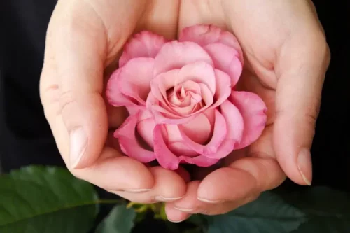 Blomst i hænder symboliserer jomfruelighed