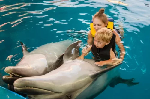 Barn med delfiner