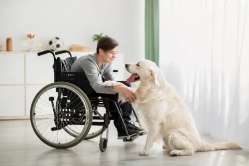 Dreng i kørestol med hund nyder fordelene ved terapi med kæledyr