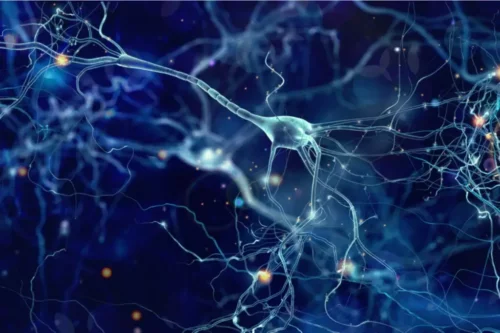 Neuralt netværk repræsenterer ligheden mellem hjernen og universet