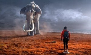 Din holdning til problemer definerer dig