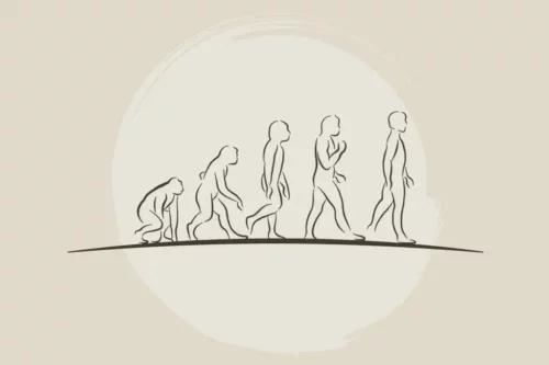 Den menneskelige evolution