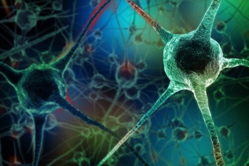 Otte vaner, der dræber neuroner