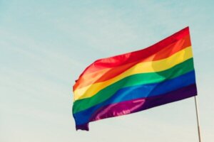 LGBTIQ+-bevægelsen: Hvad er det, og hvordan startede det?
