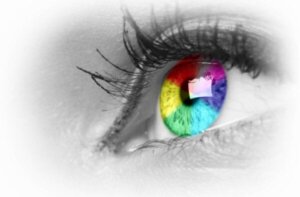 Tetrachromater ser livet i 100 millioner farver