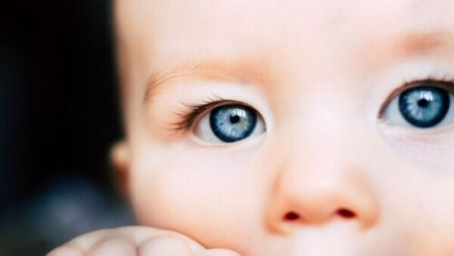 Perceptuel vedholdenhed og hvad babyer kan se, som vi ikke kan se