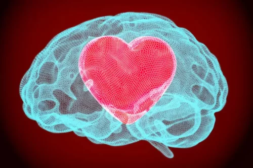 En hjerne med et hjerte i repræsenterer den første kærlighed