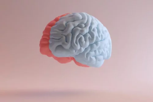 Svævende hjerne repræsenterer studiet af intelligens udført af John Horn
