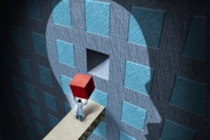 Opgørelse af følelsesmæssige intelligens (EQ-i 2.0)