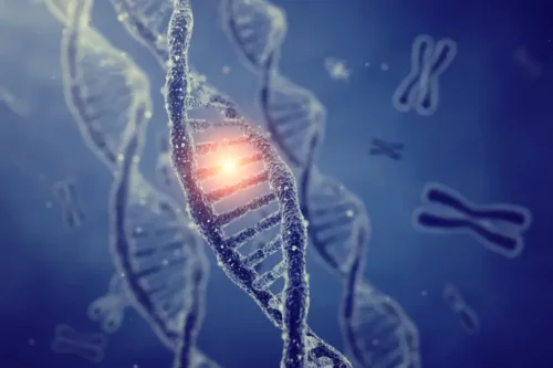 Gener repræsenterer forbindelsen mellem genetik og psykiske lidelser