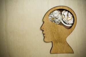 Teorien om den sociale tidsgiver