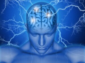 Det supplerende motoriske område i hjernen