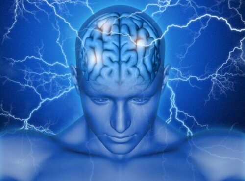 Det supplerende motoriske område i hjernen