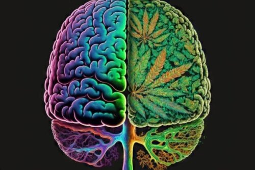 Sammenhængen mellem cannabis og skizofreni